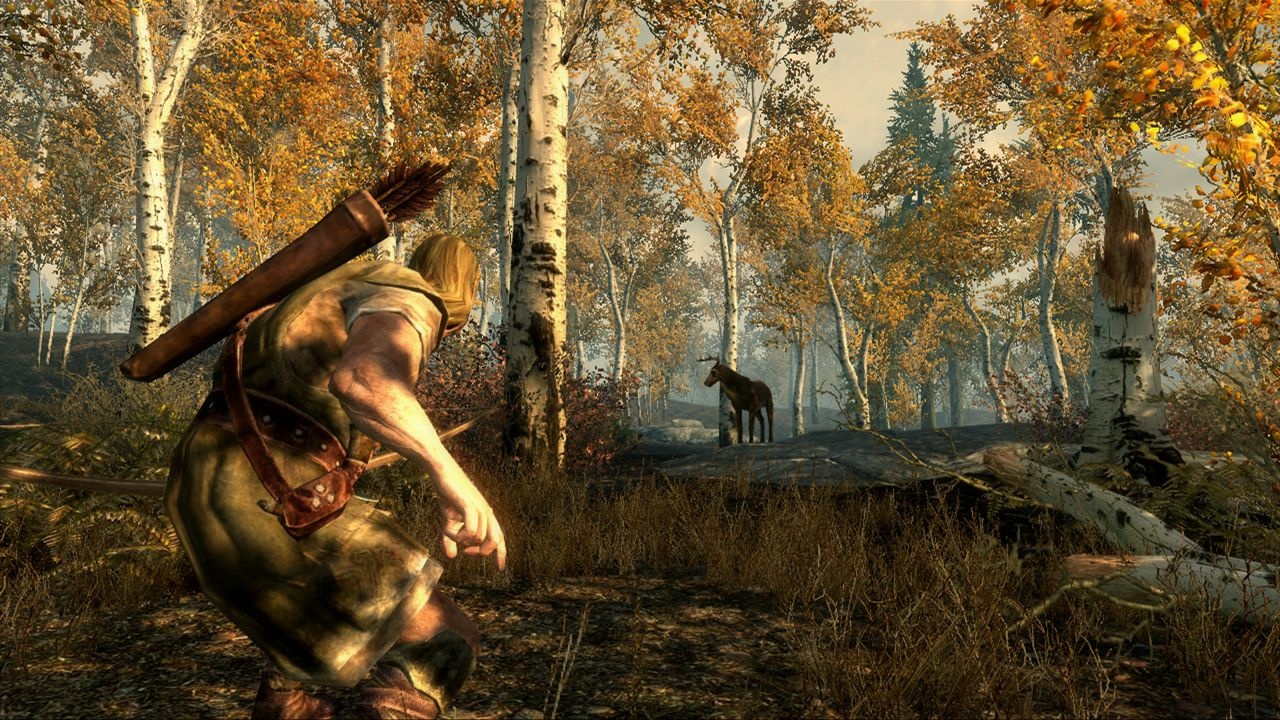 the_elder_scrolls_5_-_skyrim_screenshot_3.jpg