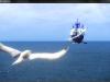 thumbs_final-fantasy-xiv_13.jpg