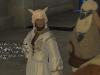 thumbs_final-fantasy-xiv_6.jpg