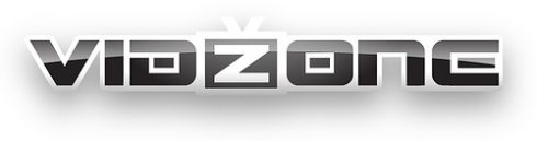 vidzone-490x129.jpg