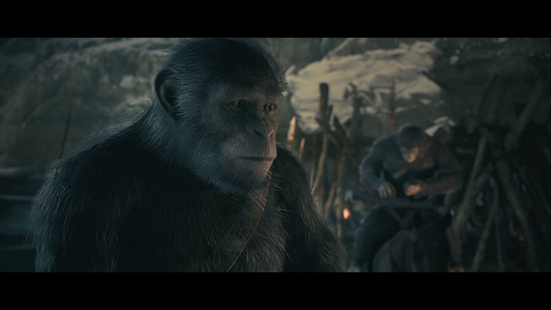 Your Planet of the apes orgy consider, that Planet of the apes orgy did not
