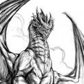 --Dragon--