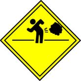 TheFart