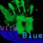 WildBlue