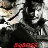 BigBOSS