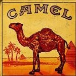 oldcamel