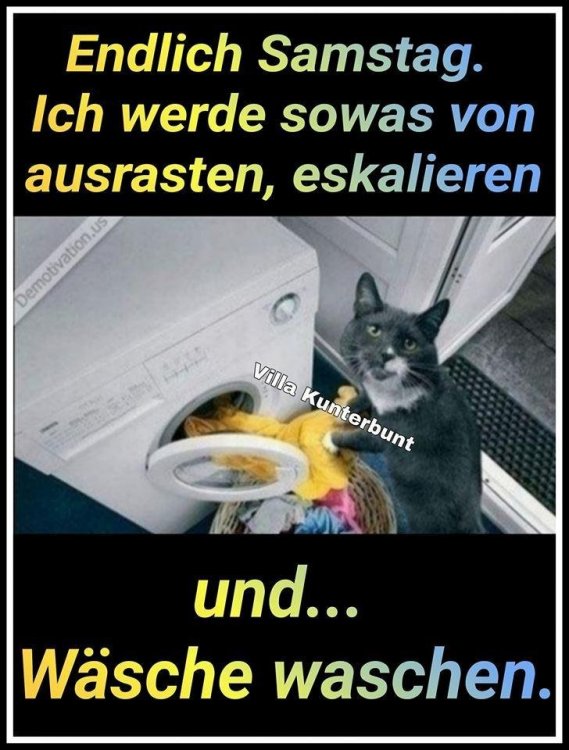 239.jpg