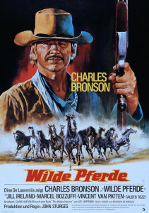 WildePferde1973.jpg.415694bd11684ff32add562ff05392a3.jpg