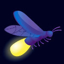 Avatar von Chief-Firefly