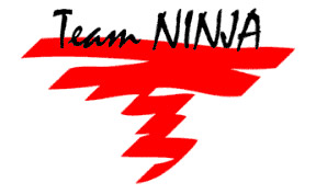 team-ninja-teaser