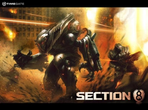 section-8