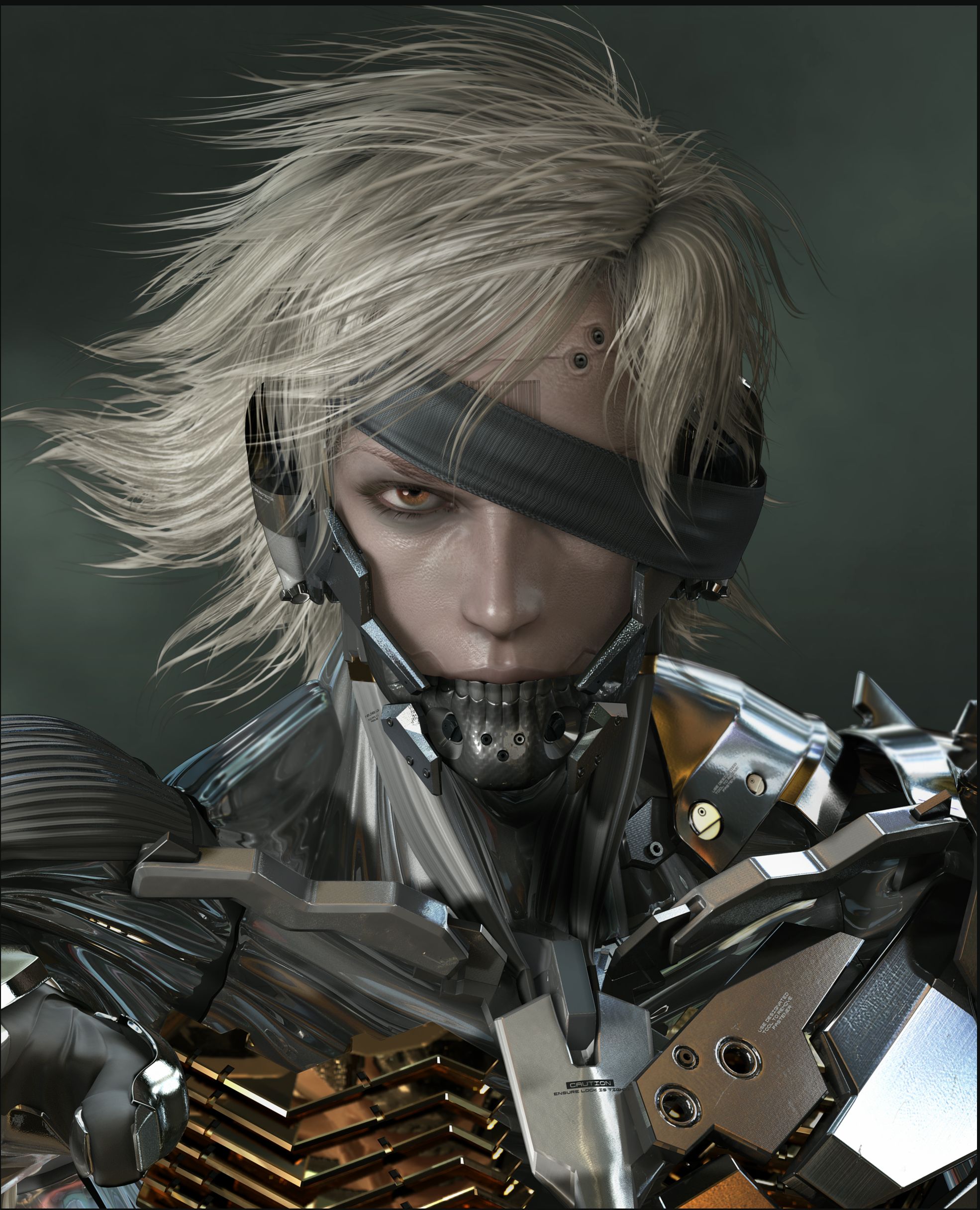 http://www.play3.de/wp-content/uploads/2009/06/mgsr_raiden_sm.jpg