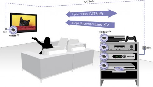 hdbaset1