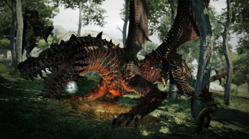 vorschau_dragonsdogma_ps3_7