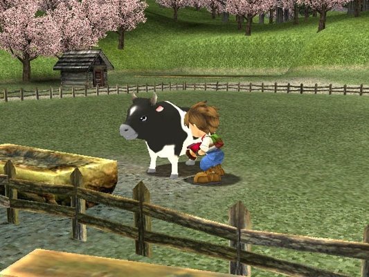 Harvest Moon: Zwei PS2-Titel für die PS4 vom ESRB eingestuft