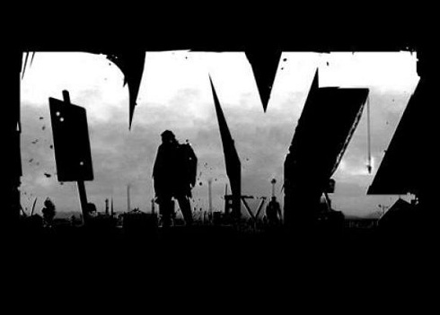 dayz