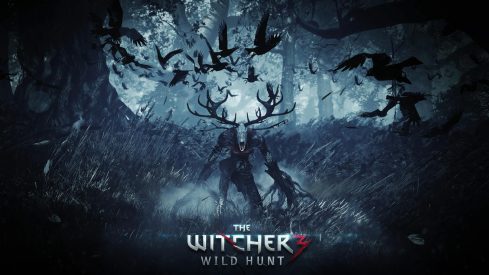 the-witcher-3-wild-hunt-5