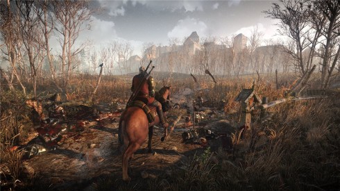 Witcher-Wild-Hunt-1