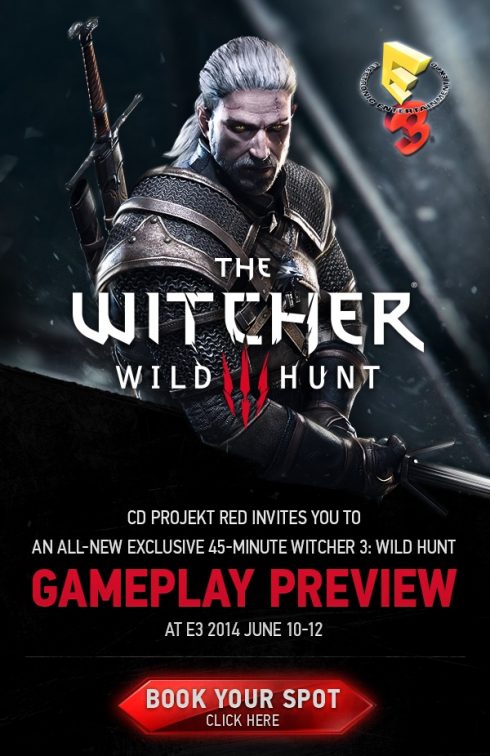 the witcher 3 e3
