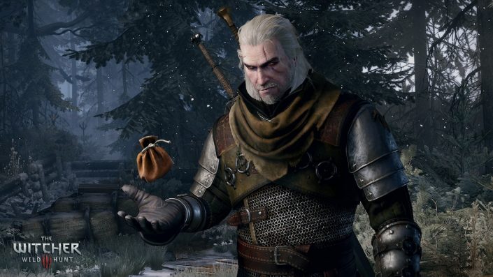 The Witcher: Weitere Details zur Netflix-Serie – Start nicht vor 2020 mit acht Episoden