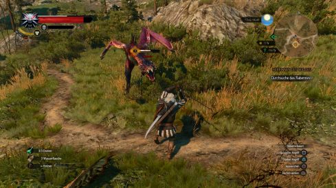 The Witcher 3_ Wild Hunt_20150504111405