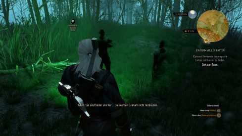 The Witcher 3_ Wild Hunt_20150504182643