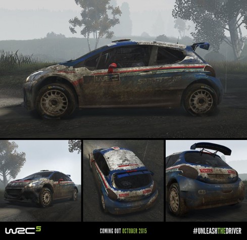 WRC 5