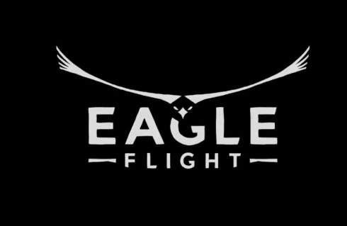eagle flight