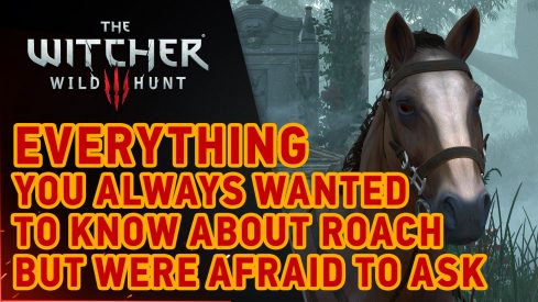 Everything_You_Always_Wanted_To_Know_About_Roach_But_Were_Afraid_To_Ask