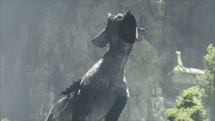 The Last Guardian: Neues Video zur Langzeitentwicklung