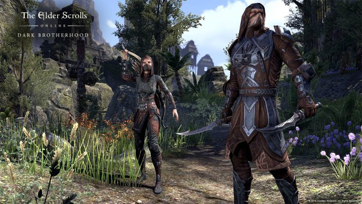 The Elder Scrolls Online: Details zu Update 11 und Shadow of the Hist enthüllt