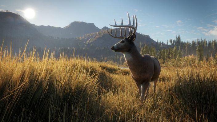 theHunter: Call of the Wild erhält DLC und schickt den Spieler in verschneite Umgebungen