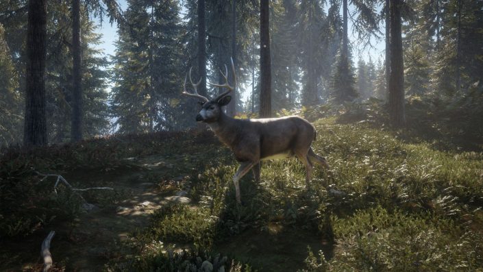theHunter: Call of the Wild – Konsolen-Termin und neue Gamescom-Trailer zur Jagdsimulation zeigen auch die ATVs