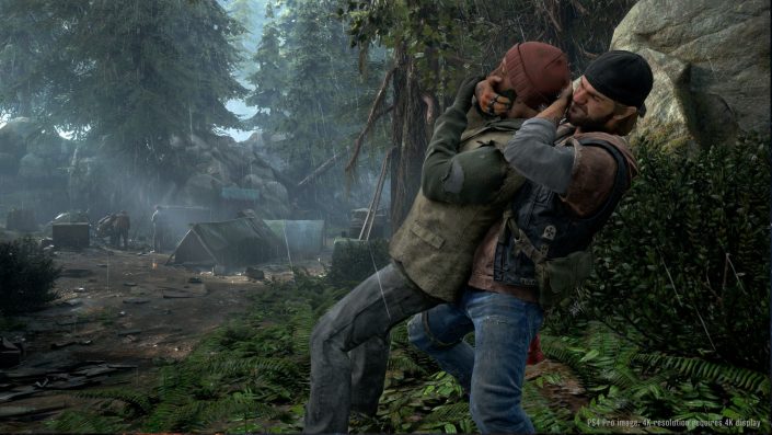 Days Gone: Patch 1.31 behebt einige Fehler