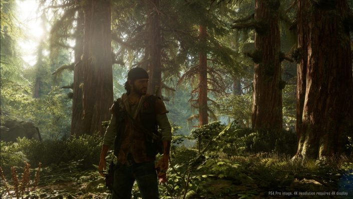 Days Gone: Soll eine nahtlose Spielwelt ohne Ladezeiten bieten