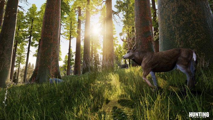 Hunting Simulator: Update 1.2 mit Changelog veröffentlicht und im Trailer vorgestellt – Neuer Modus und neue Features