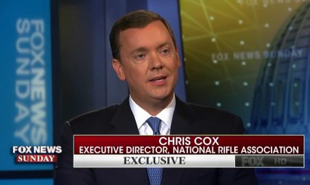 Attentat in Las Vegas: Der NRA-Direktor sieht Teilschuld bei Videospielen und Filmen