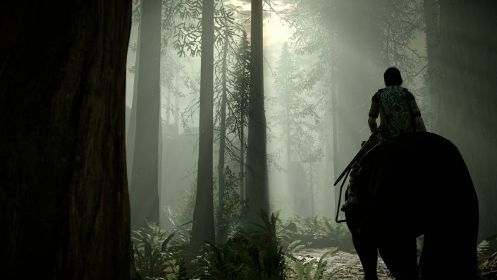 PlayStation Store: Vorschau auf die Neuerscheinungen inkl.  Shadow of the Colossus