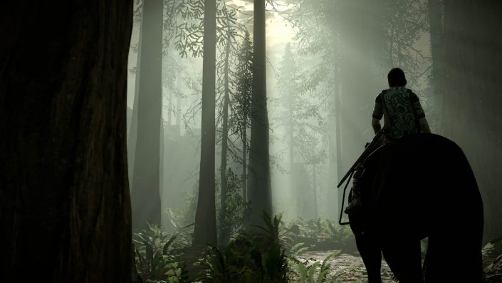 Shadow of the Colossus: Grafische Verbesserungen in einem neuen Video erläutert