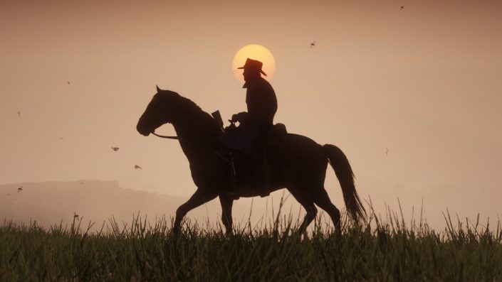 Red Dead Redemption 2: Glitch im Spiel bringt euch nach Mexiko – Video