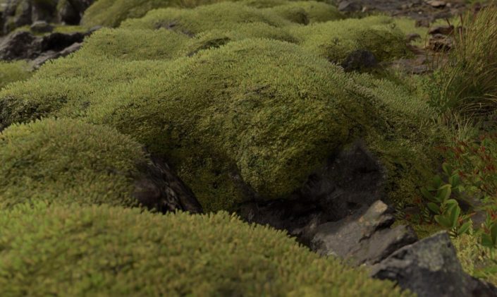 Death Stranding: E3-Teaser-Screenshot zeigt moosbewachsene Felsen