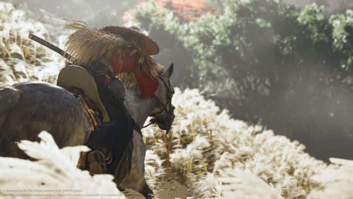 Ghost of Tsushima: Das bisher größte Spiel von Sucker Punch – Vielfalt im Fokus