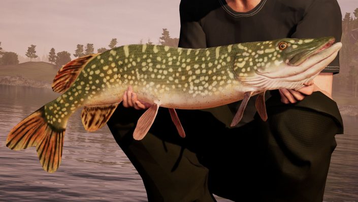 Fishing Sim World: Launch-Trailer und Dovetail Fishing League im Video vorgestellt (Update)