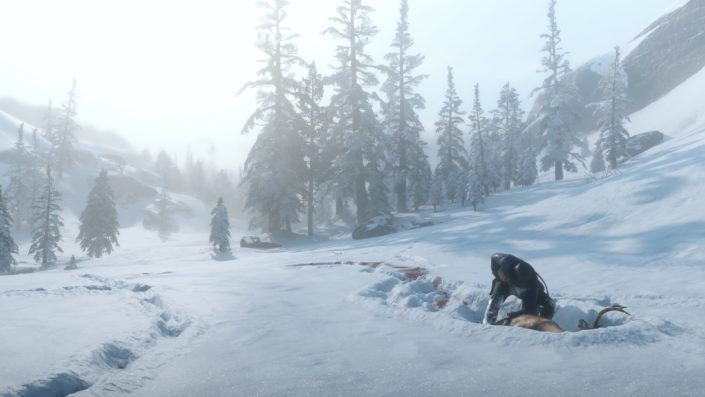 Red Dead Redemption 2: Schnee-Update steht offenbar bevor – Erste Bilder