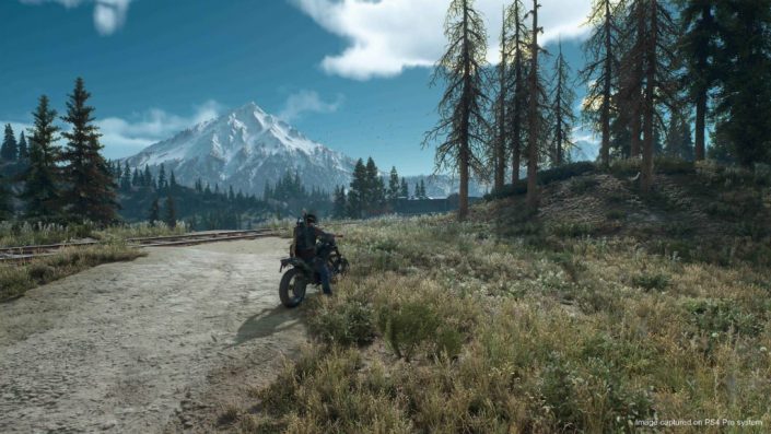 Days Gone: Die Open-World-Umgebung wurde von nur 5 Leuten designt