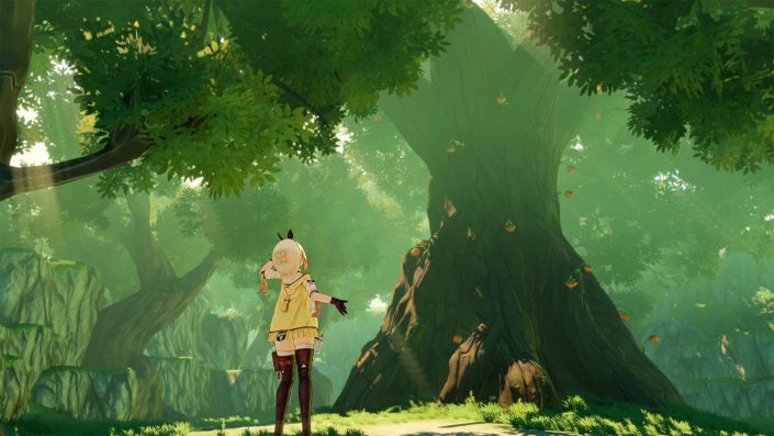 Atelier Ryza 2 Lost Legends & the Secret Fairy: Disc-Version für die PS5 gestrichen