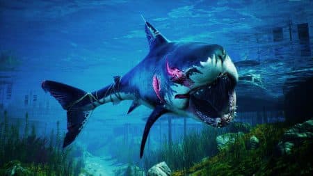 Maneater: Haifisch-Abenteuer erscheint für PS5 mit Gratis-Upgrade – Kein Savegame-Transfer