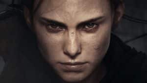 Focus Entertainment: Der Plague Tale-Publisher sorgt für die nächste Übernahme