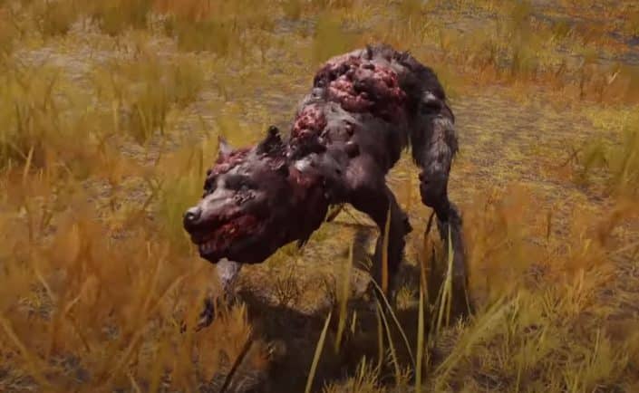 Elden Ring: Zombiehund richtet 11.640 Schaden pro Sekunde an