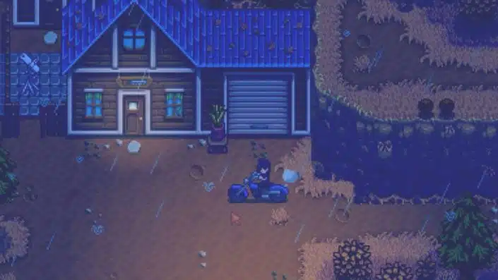 Stardew Valley: Diese Inhalte stecken in Update 1.6